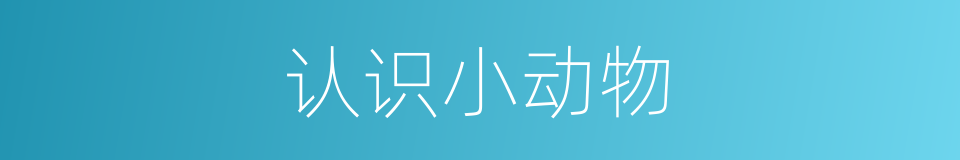 认识小动物的同义词