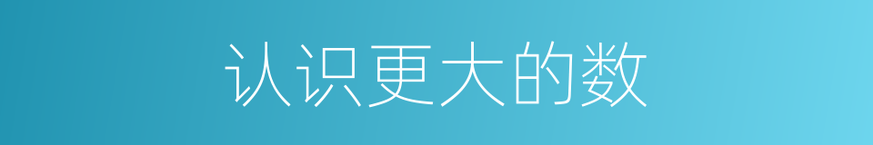 认识更大的数的同义词