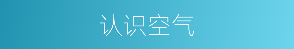 认识空气的同义词