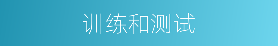 训练和测试的同义词