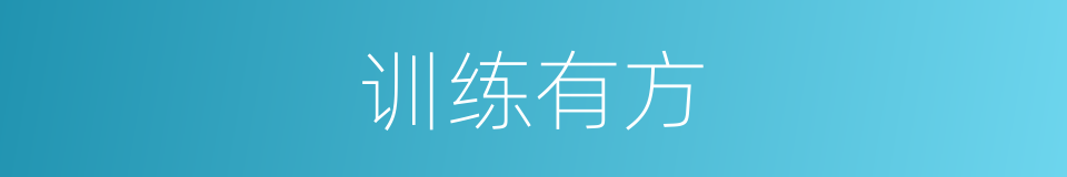 训练有方的意思