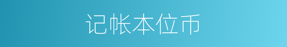 记帐本位币的同义词