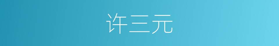 许三元的同义词