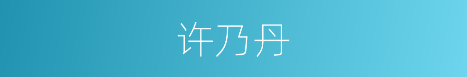 许乃丹的同义词