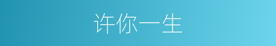 许你一生的意思