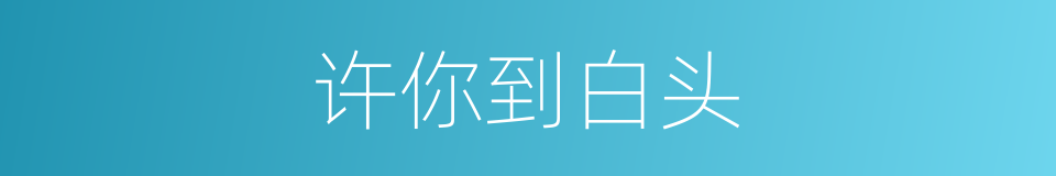 许你到白头的同义词