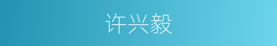许兴毅的同义词