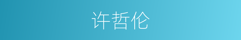 许哲伦的同义词