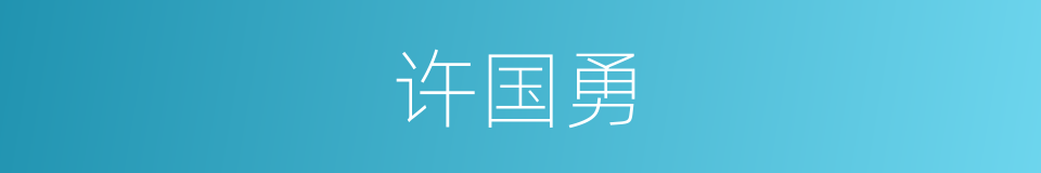 许国勇的同义词