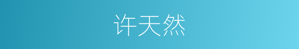 许天然的同义词