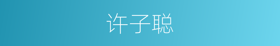 许子聪的同义词