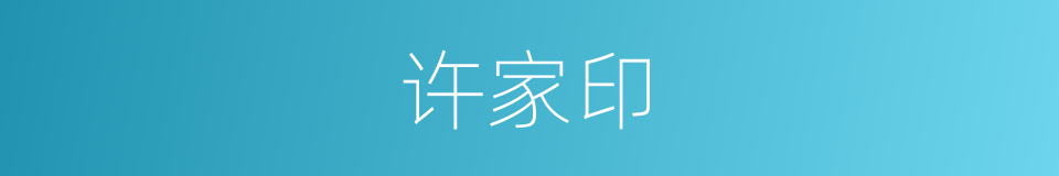 许家印的同义词