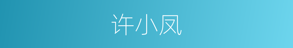许小凤的同义词