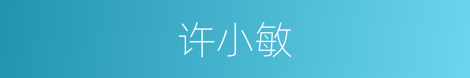 许小敏的同义词