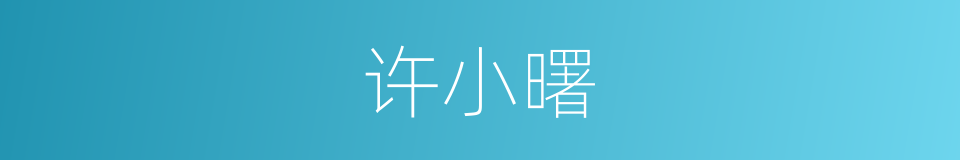 许小曙的同义词