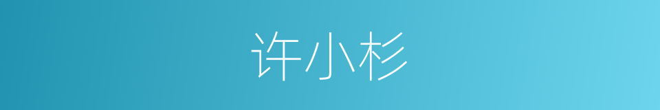 许小杉的同义词