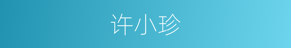 许小珍的同义词