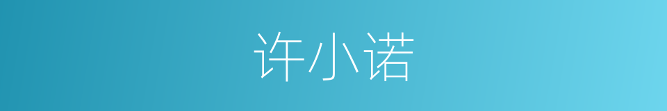 许小诺的同义词