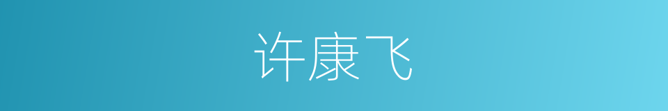 许康飞的同义词