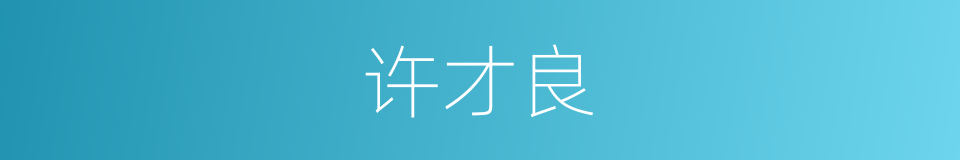 许才良的同义词