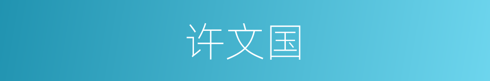 许文国的同义词