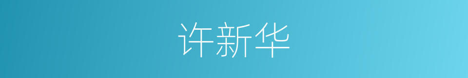 许新华的同义词