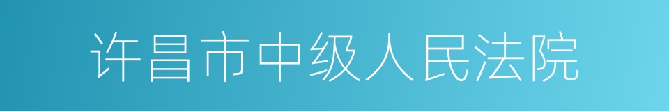 许昌市中级人民法院的同义词