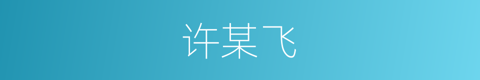 许某飞的同义词