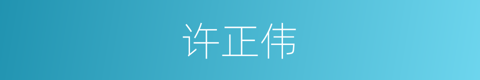 许正伟的同义词