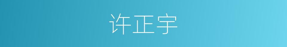 许正宇的同义词
