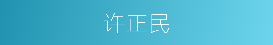 许正民的同义词