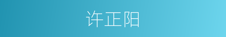 许正阳的同义词