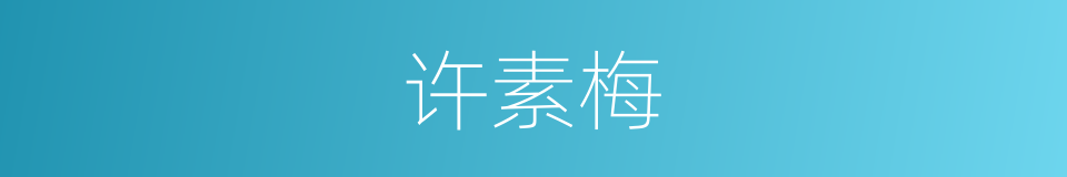 许素梅的同义词