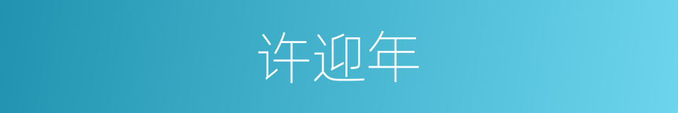 许迎年的同义词