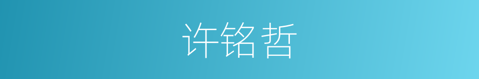 许铭哲的同义词