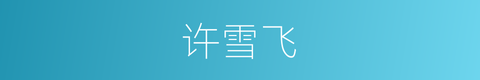 许雪飞的同义词