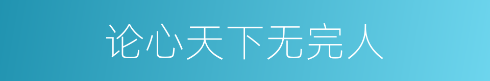 论心天下无完人的同义词