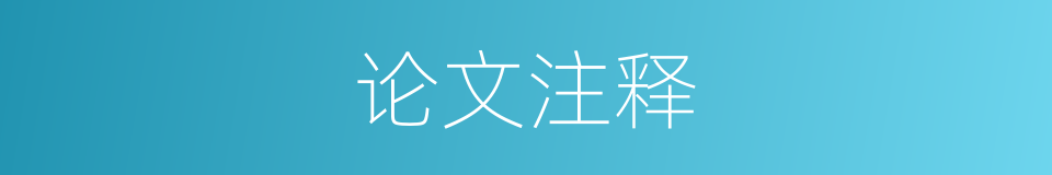 论文注释的意思