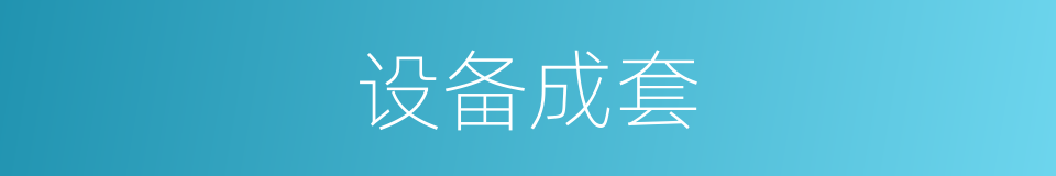 设备成套的同义词