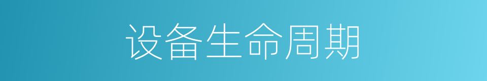 设备生命周期的同义词