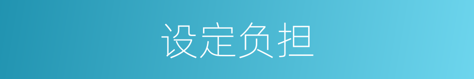 设定负担的同义词