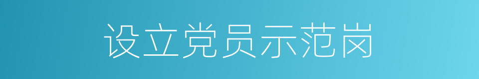 设立党员示范岗的同义词