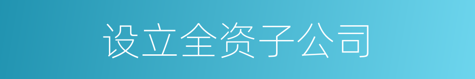 设立全资子公司的同义词