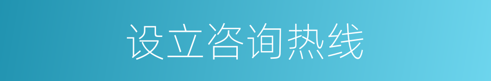 设立咨询热线的同义词