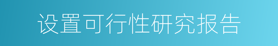 设置可行性研究报告的同义词