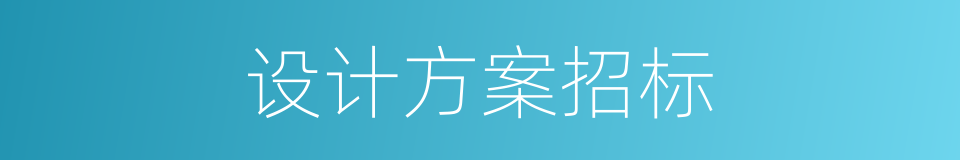 设计方案招标的同义词