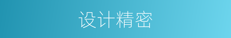 设计精密的同义词