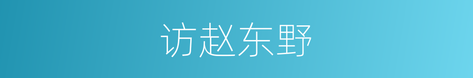 访赵东野的同义词