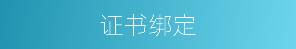 证书绑定的同义词