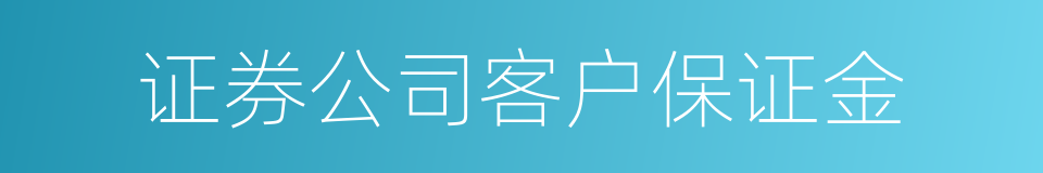 证券公司客户保证金的同义词